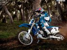 Yamaha WR 450F